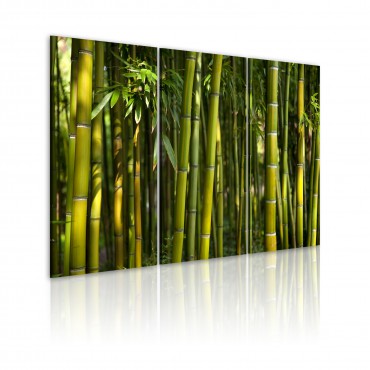 Cuadro - Bambú y verde