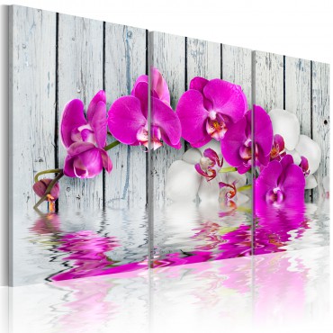 Cuadro - armonía: orquídea...