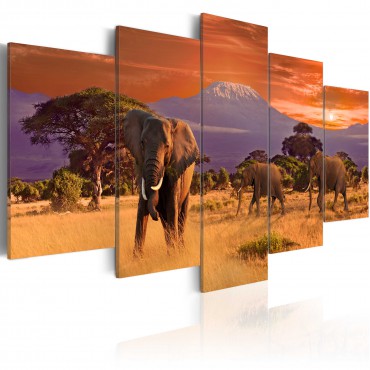 Cuadro - África: elefantes