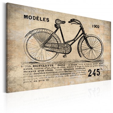 Cuadro - N° 1245 - Bicyclette