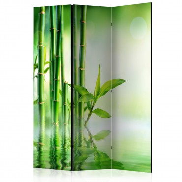 Biombo - Green Bamboo [Room...