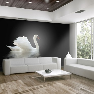 Fotomural - cisne (blanco y...