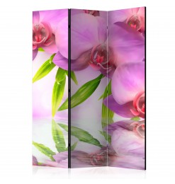 Biombo - Orchid Spa [Room...