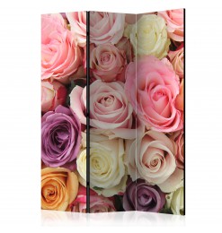 Biombo - Pastel roses [Room...