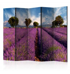 Biombo - Lavender field in...