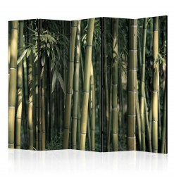 Biombo - Bamboo Exotic II...