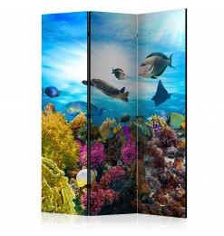 Biombo - Coral reef [Room...