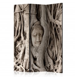 Biombo - Buddha's Tree...