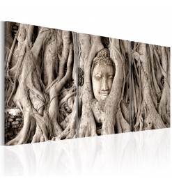 Cuadro - Meditation's Tree