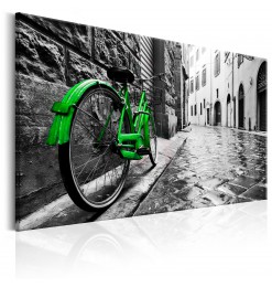 Cuadro - Vintage Green Bike