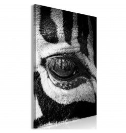 Cuadro - Zebra Eye (1 Part)...