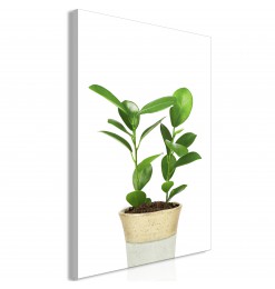 Cuadro - Plant In Pot (1...