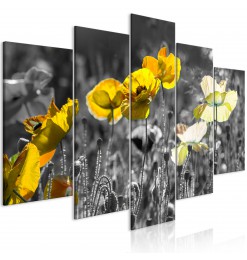 Cuadro - Yellow Poppies (5...