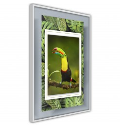 Póster - Toucan in the Frame