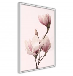 Póster - Blooming Magnolias...