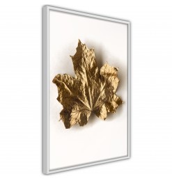 Póster - Dried Maple Leaf