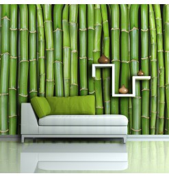 Fotomural - Una pared de bambú