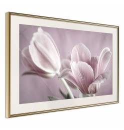 Póster - Pastel Tulips I