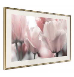 Póster - Pastel Tulips II