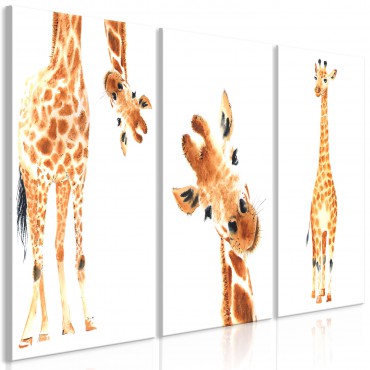 Cuadro - Funny Giraffes (3...