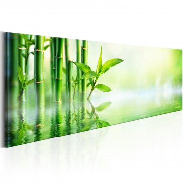 Cuadro - Green Bamboo
